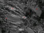 Click Here for Larger Celsian Image