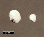 Click Here for Larger Giorgiosite Image