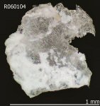 Click Here for Larger Ammonioleucite Image