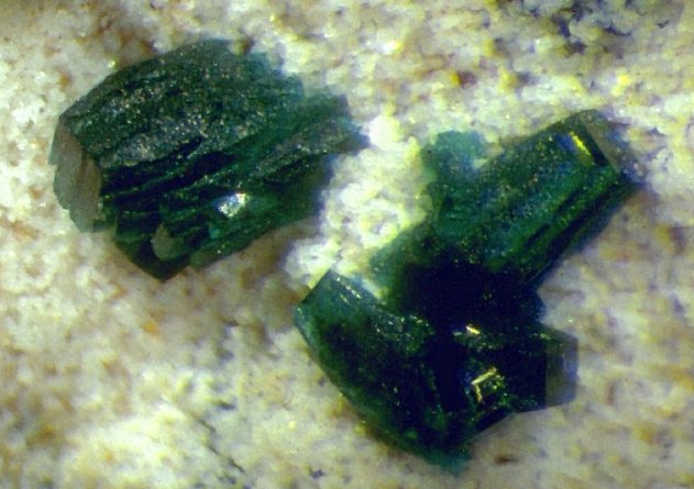 Large Antlerite Image