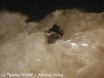 Click Here for Larger Bismutomicrolite Image
