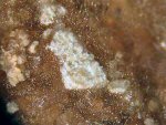 Click Here for Larger Braitschite-(Ce) Image