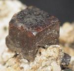 Click Here for Larger Cafarsite Image