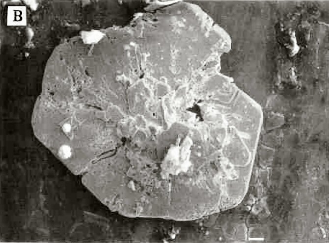 Large Carlosruizite Image