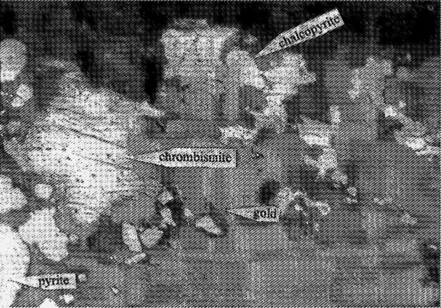 Large Chrombismite Image
