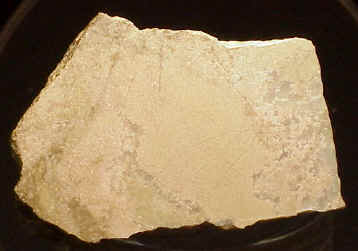 Large Coombsite Image