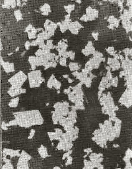 Large Coulsonite Image