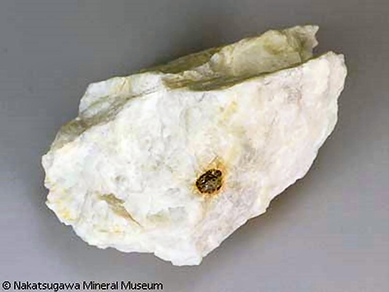 Large Fergusonite-beta-(Y) Image