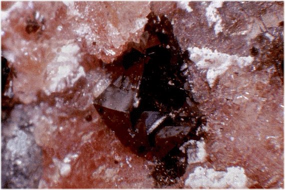 Large Hetaerolite Image