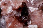 Click Here for Larger Hetaerolite Image