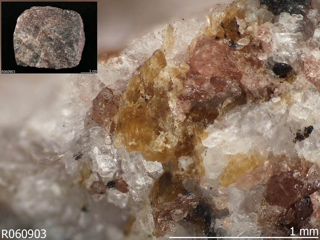 Large Kellyite Image