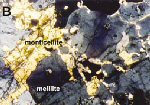 Click Here for Larger Monticellite Image