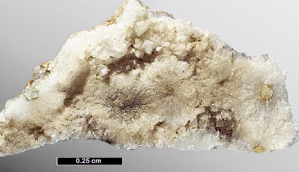 Large Amicite Image