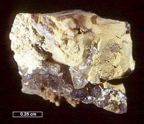 Large Bismite Image