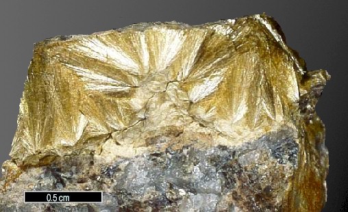 Large Carpholite Image