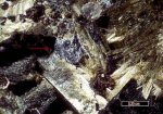 Click Here for Larger Calzirtite Image