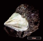 Click Here for Larger Erionite-Na Image