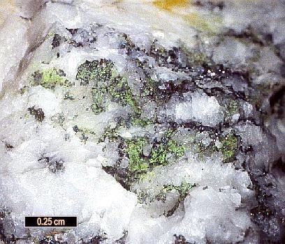 Large Choloalite Image