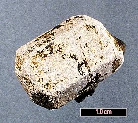 Large Apatite-(CaOH) Image
