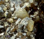 Click Here for Larger Gorceixite Image