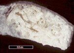 Click Here for Larger Hydrochlorborite Image