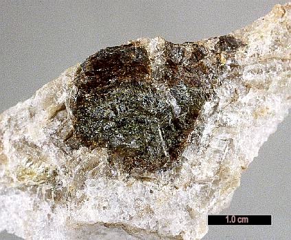 Large Bobfergusonite Image