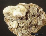 Click Here for Larger Hydroscarbroite Image