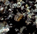 Click Here for Larger Jeanbandyite Image