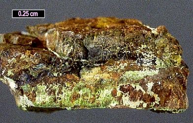 Large Monimolite Image