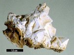 Click Here for Larger Peisleyite Image