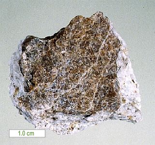 Large Pellyite Image