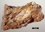 Click Here for Larger Spadaite Image
