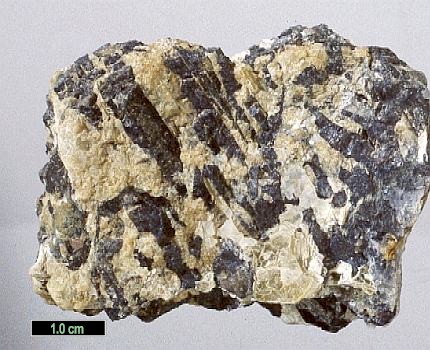 Large Triphylite Image