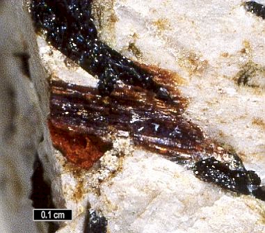 Large Arfvedsonite Image