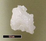 Click Here for Larger Donbassite Image
