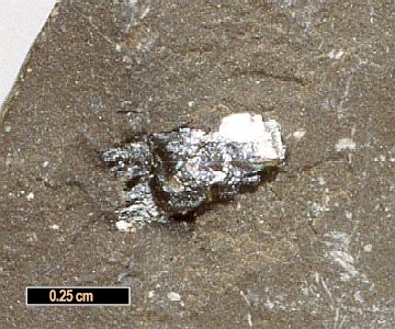 Large Leucosphenite Image