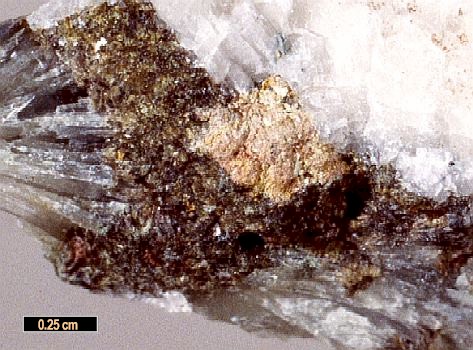 Large Bobierrite Image