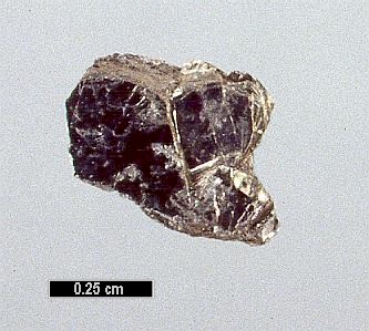 Large Tellurobismuthite Image