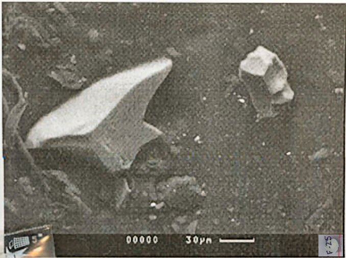 Large Pauflerite Image