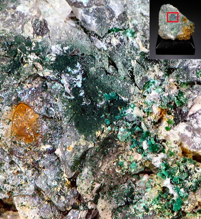 Large Plimerite Image