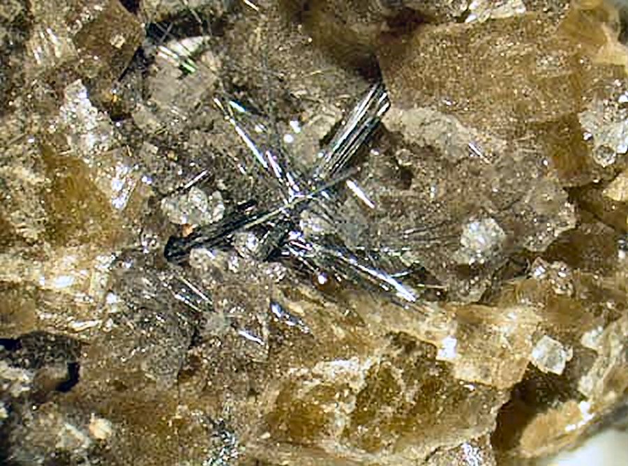 Large Plumosite Image
