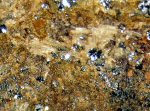 Click Here for Larger Protomangano-ferro-anthophyllite Image