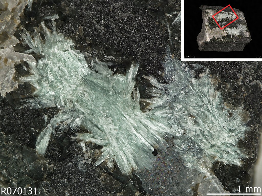 Large Pumpellyite-(Al) Image