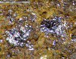 Click Here for Larger Rauvite Image