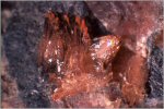 Click Here for Larger Sarkinite Image