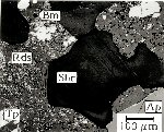 Click Here for Larger Shirozulite Image