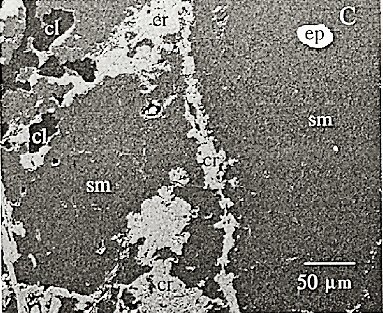 Large Simmonsite Image