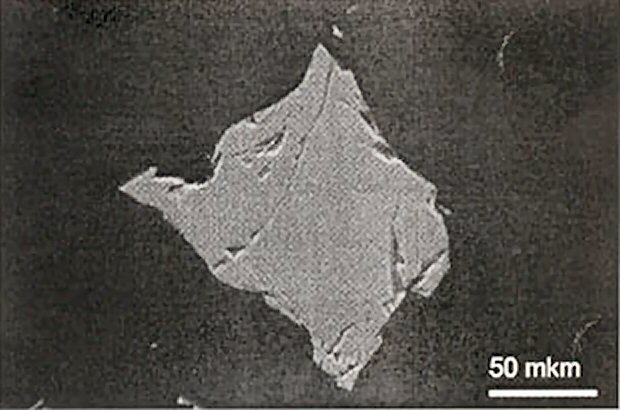 Large Stanfieldite Image