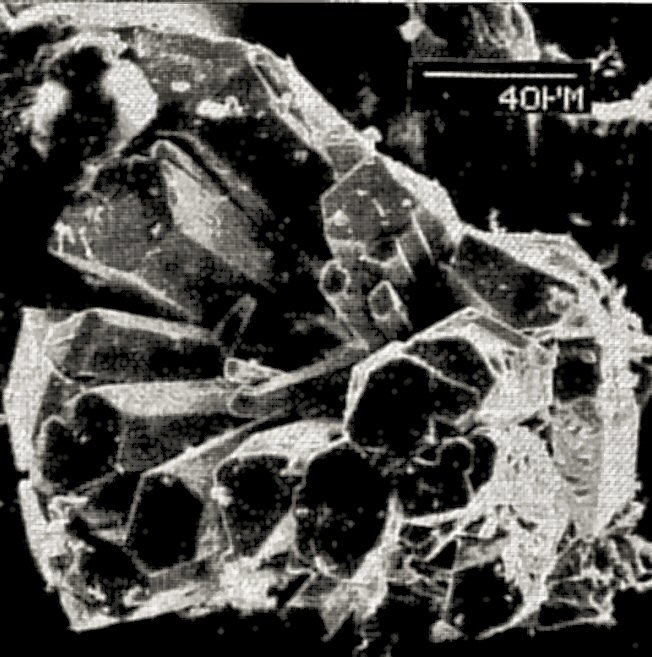 Large Szymanskiite Image