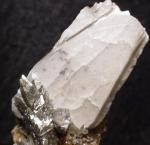 Click Here for Larger Whewellite Image
